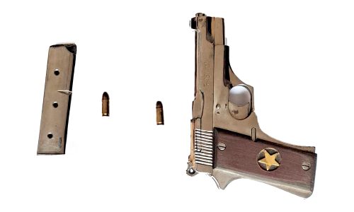 রাজশাহীর সিলিন্দায় ডিবি পুলিশের ধাওয়া: বিদেশি পিস্তল ও গুলিসহ মাগাজিন উদ্ধার, পলাতক ছিনতাইকারীরা